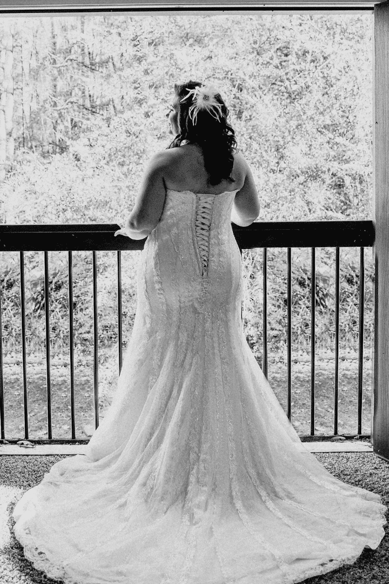 The Fields of Blackberry Cove